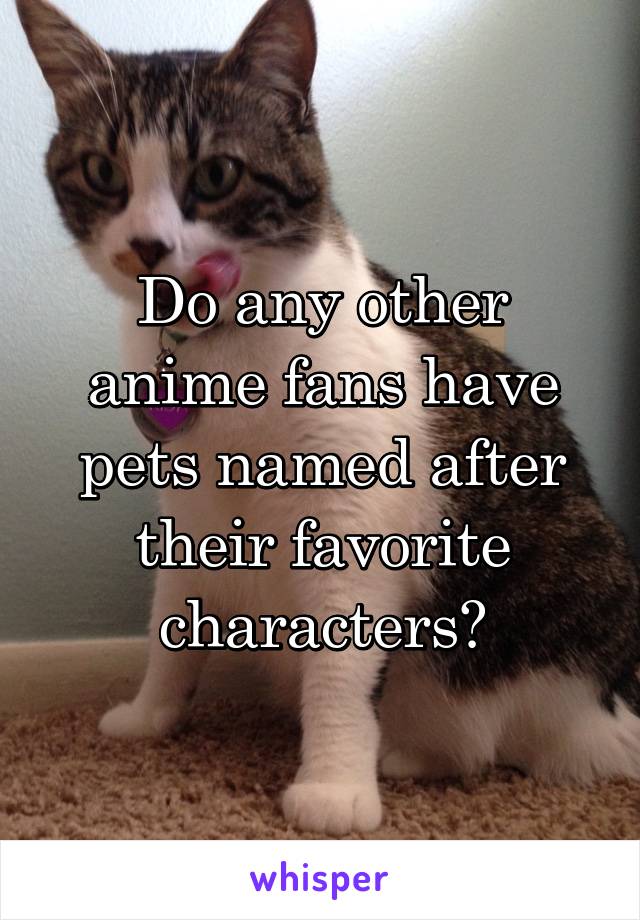 Do any other anime fans have pets named after their favorite characters?