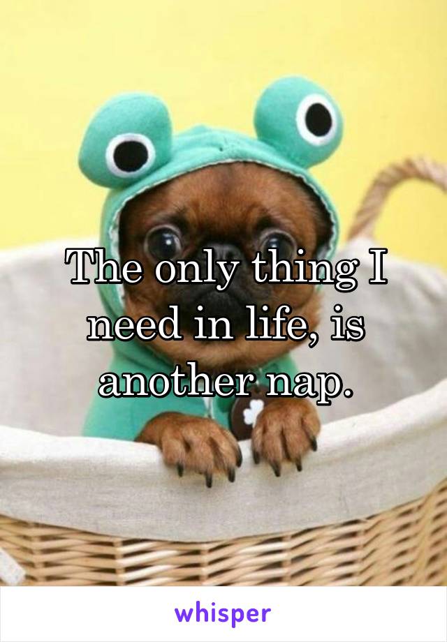 The only thing I need in life, is another nap.