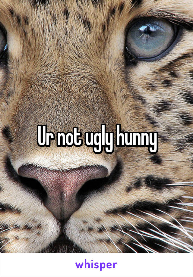 Ur not ugly hunny