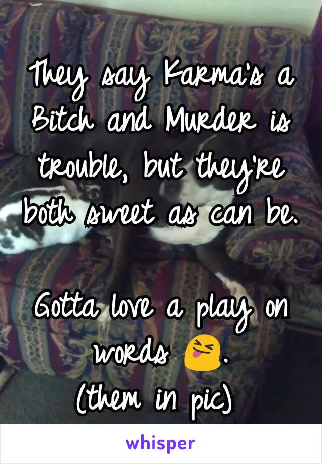 They say Karma's a Bitch and Murder is trouble, but they're both sweet as can be. 
Gotta love a play on words 😝.
(them in pic) 