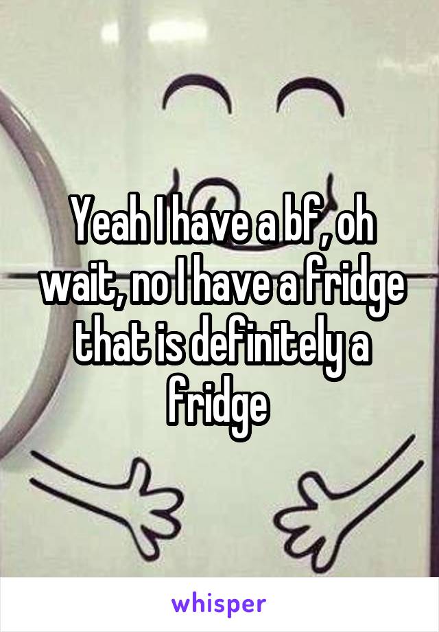 Yeah I have a bf, oh wait, no I have a fridge that is definitely a fridge 