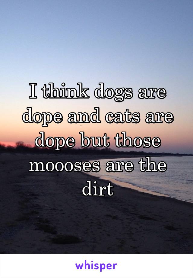 I think dogs are dope and cats are dope but those moooses are the dirt