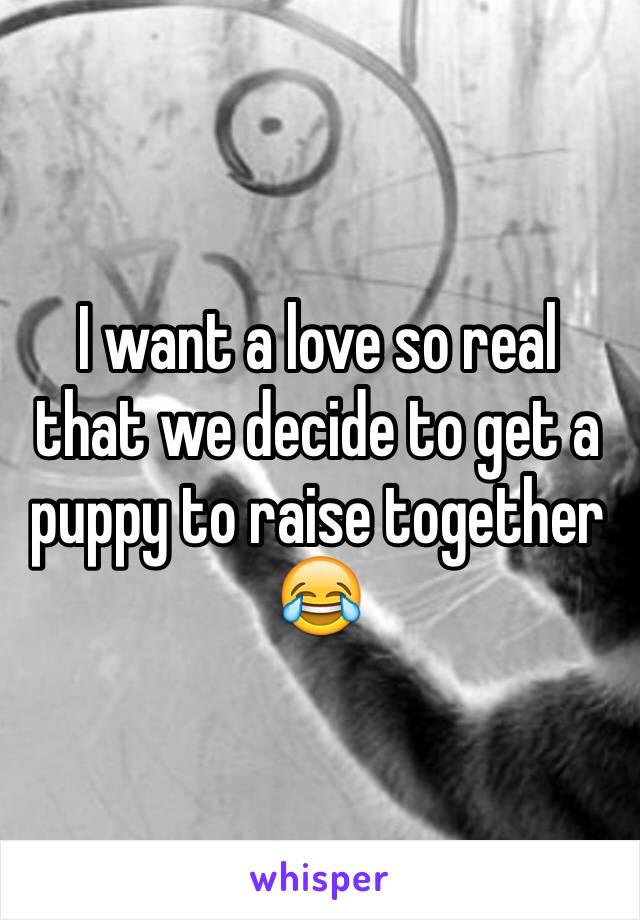 I want a love so real that we decide to get a puppy to raise together 😂