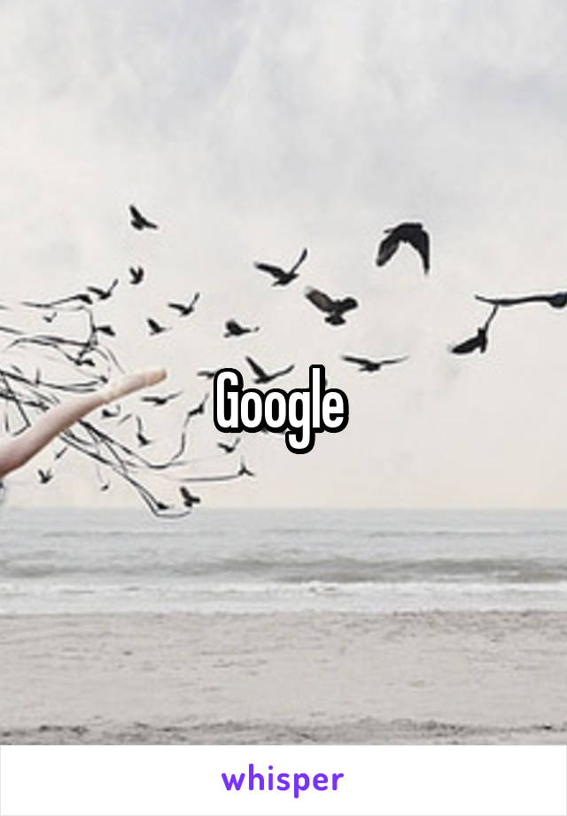 Google 