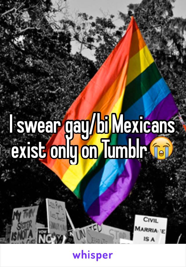 I swear gay/bi Mexicans exist only on Tumblr😭