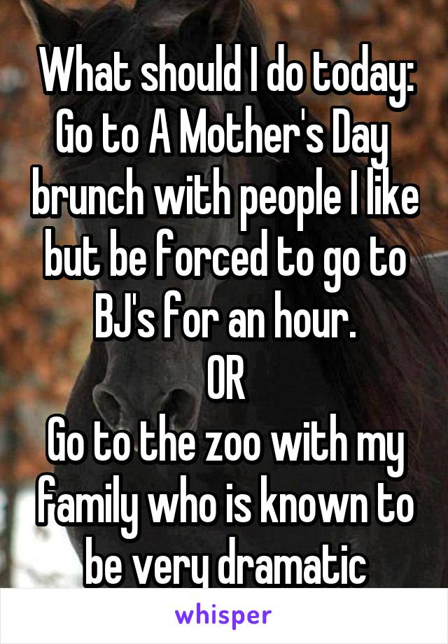 What should I do today:
Go to A Mother's Day  brunch with people I like but be forced to go to BJ's for an hour.
OR
Go to the zoo with my family who is known to be very dramatic