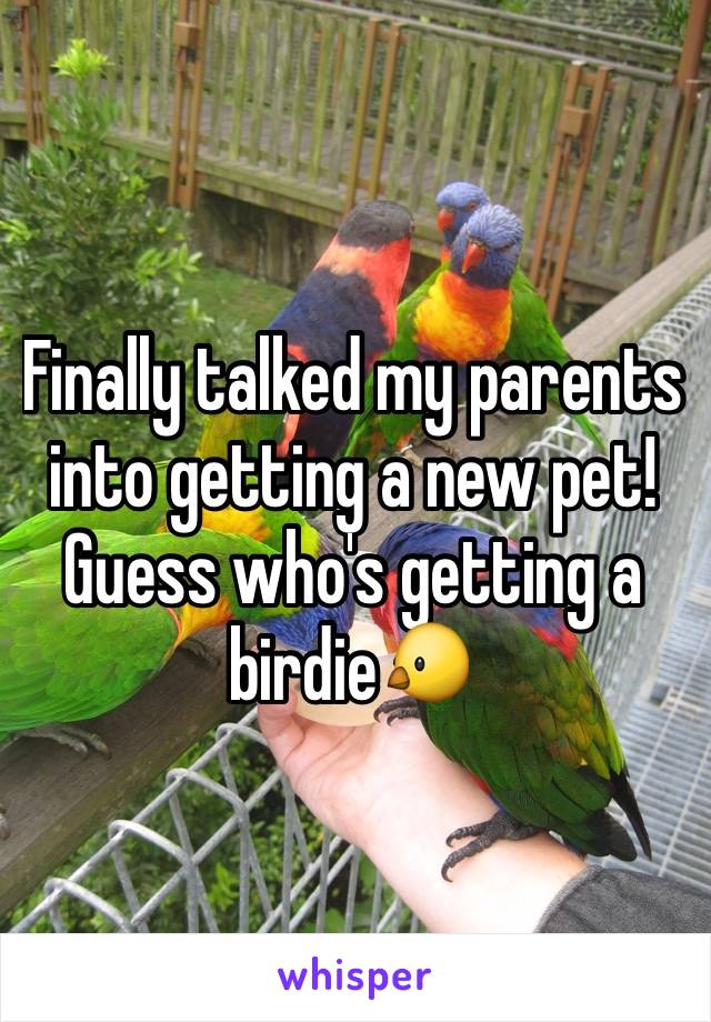 Finally talked my parents into getting a new pet! Guess who's getting a birdie🐤