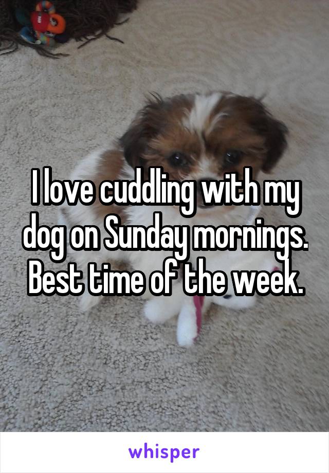 I love cuddling with my dog on Sunday mornings. Best time of the week.