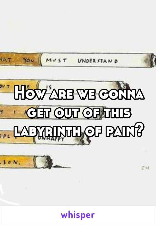 How are we gonna get out of this labyrinth of pain?