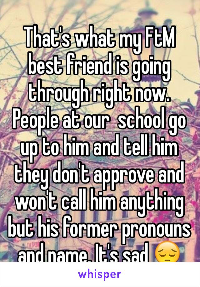 That's what my FtM best friend is going through right now. People at our  school go up to him and tell him they don't approve and won't call him anything but his former pronouns and name. It's sad 😔