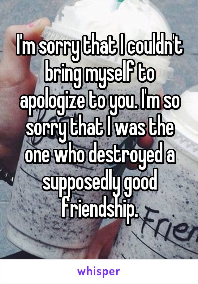 I'm sorry that I couldn't bring myself to apologize to you. I'm so sorry that I was the one who destroyed a supposedly good friendship.
