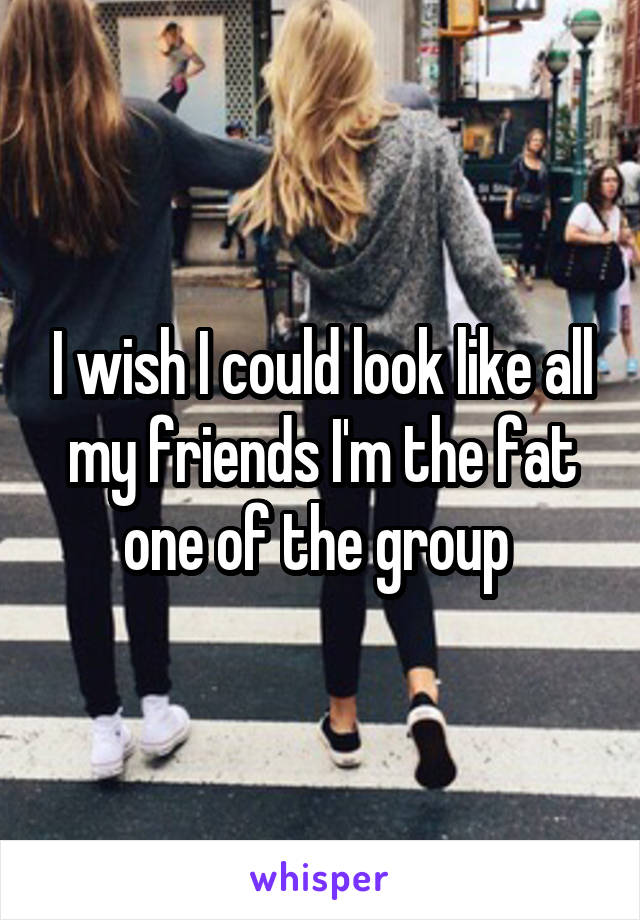 I wish I could look like all my friends I'm the fat one of the group 