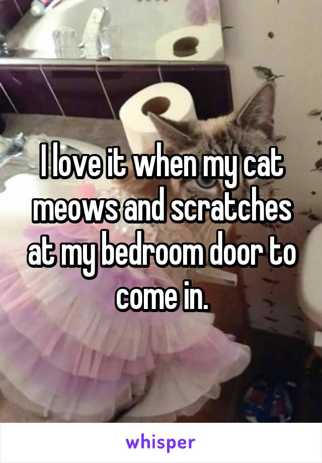 I love it when my cat meows and scratches at my bedroom door to come in.