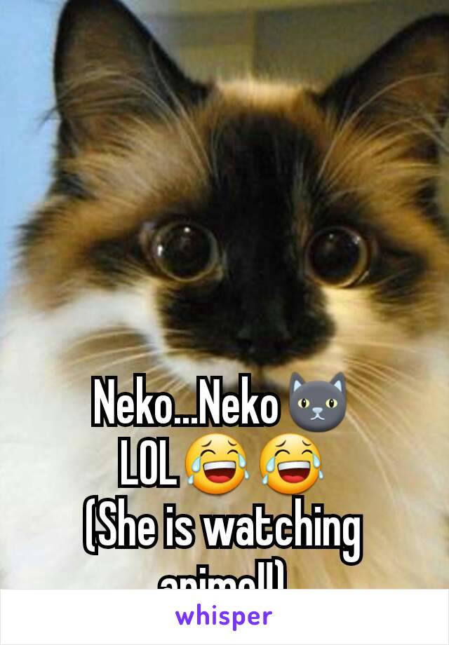 Neko...Neko🐱
LOL😂😂
(She is watching anime!!)