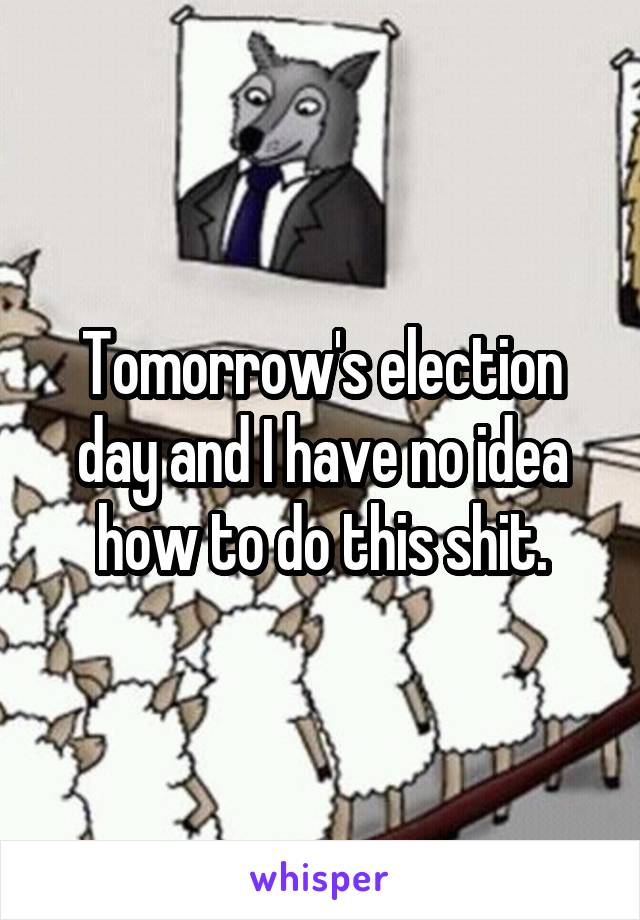 Tomorrow's election day and I have no idea how to do this shit.