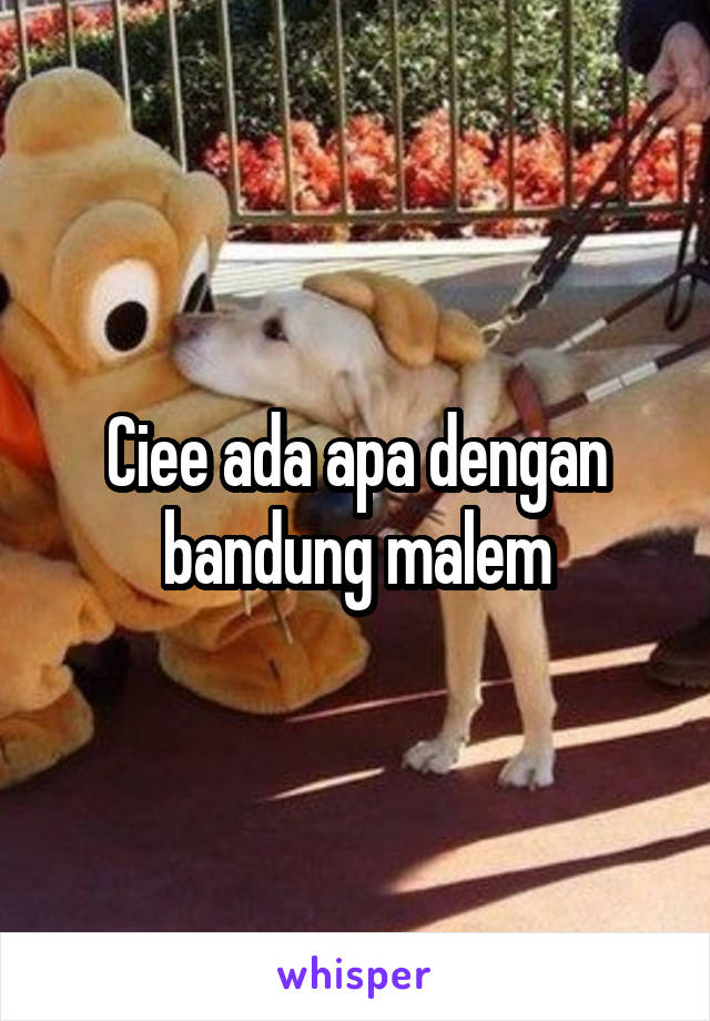 Ciee ada apa dengan bandung malem