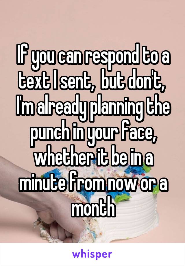 If you can respond to a text I sent,  but don't,  I'm already planning the punch in your face, whether it be in a minute from now or a month