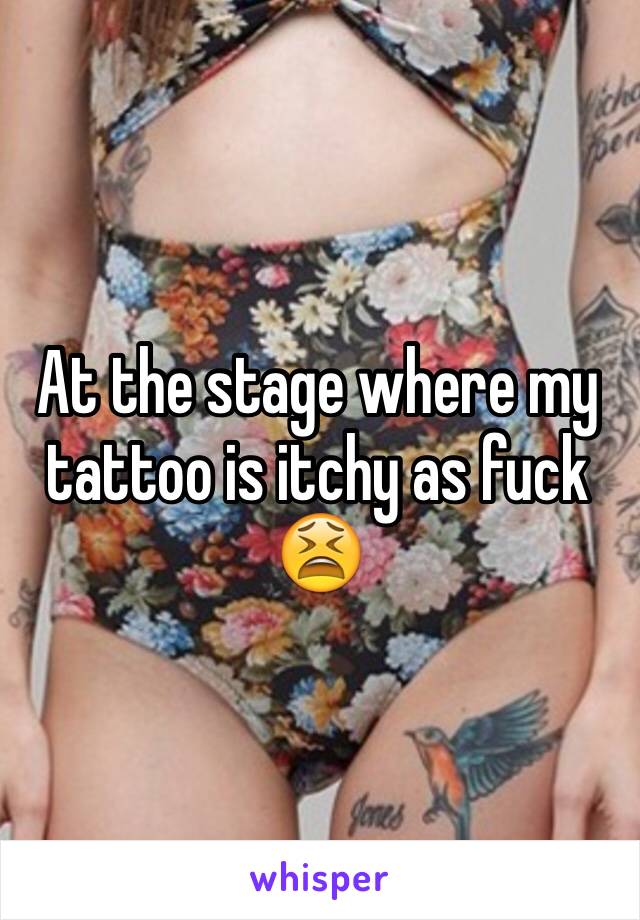 At the stage where my tattoo is itchy as fuck 😫