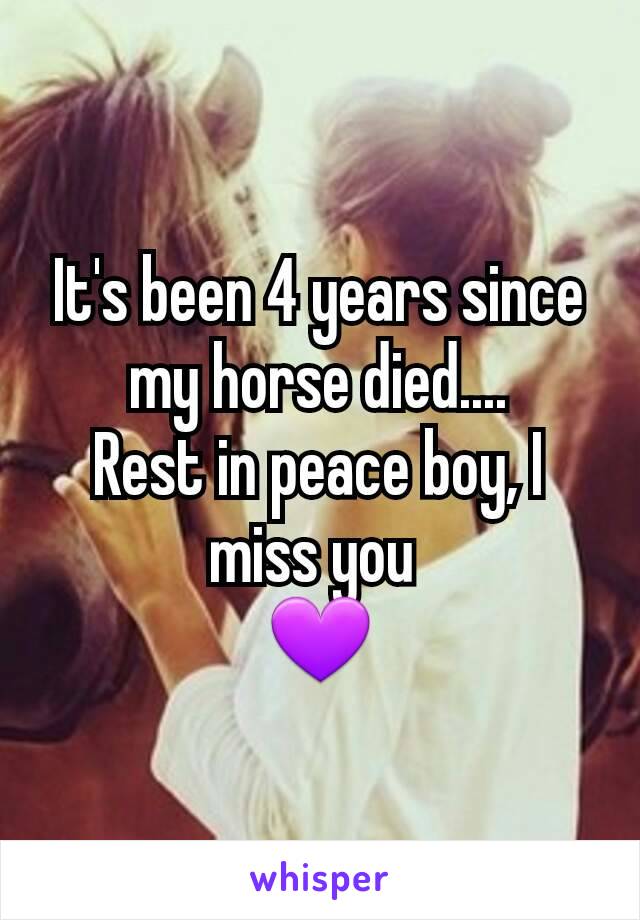 It's been 4 years since my horse died....
Rest in peace boy, I miss you 
💜