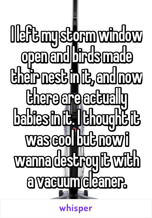 I left my storm window open and birds made their nest in it, and now there are actually babies in it. I thought it was cool but now i wanna destroy it with a vacuum cleaner.