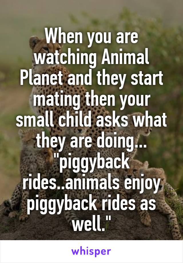 When you are watching Animal Planet and they start mating then your small child asks what they are doing... "piggyback rides..animals enjoy piggyback rides as well."