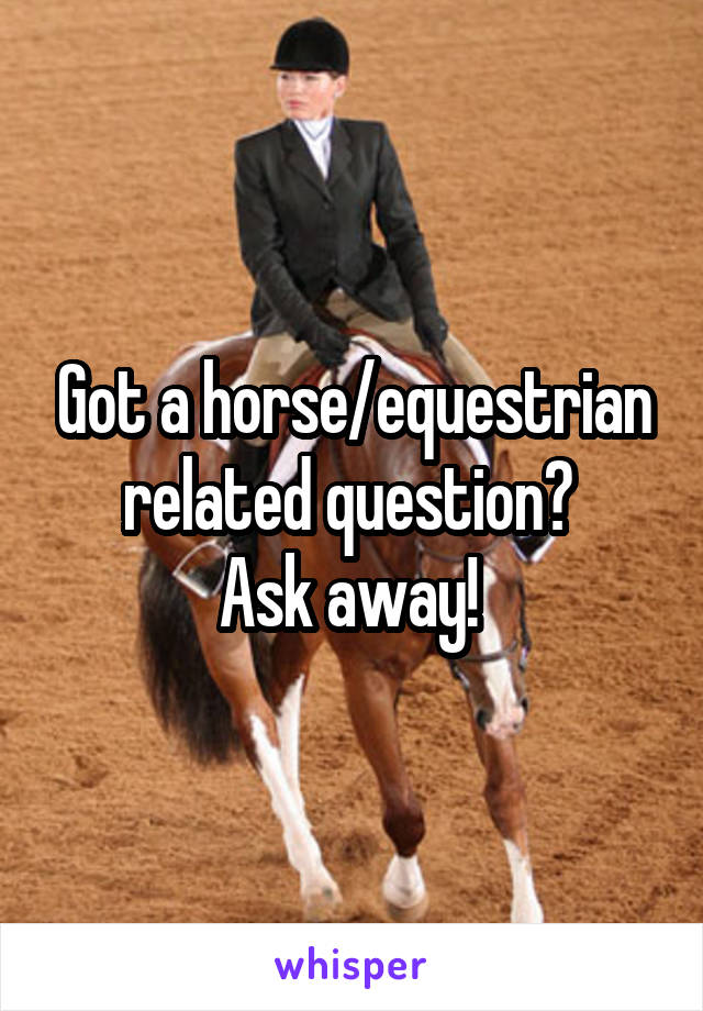 Got a horse/equestrian related question? 
Ask away! 