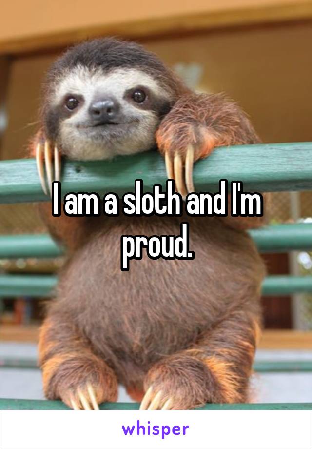 I am a sloth and I'm proud.