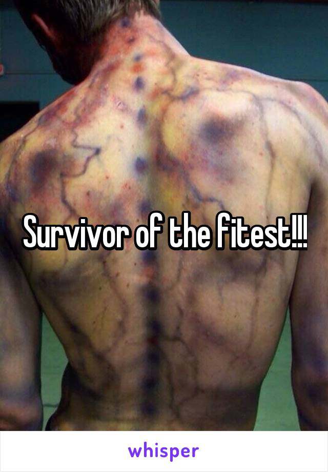 Survivor of the fitest!!!