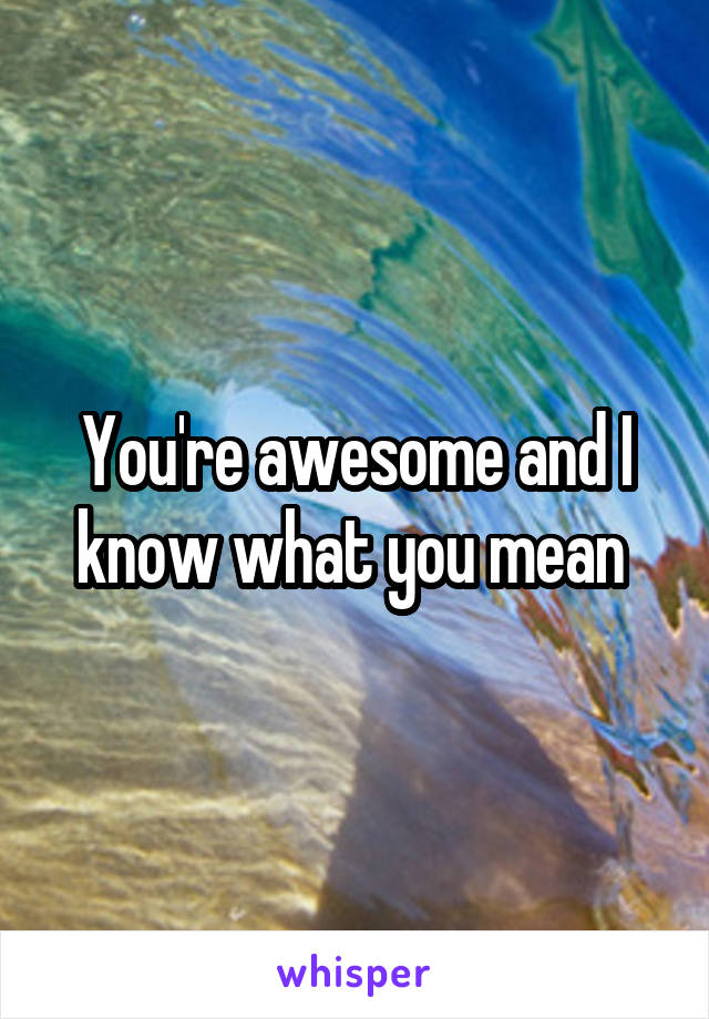 You're awesome and I know what you mean 