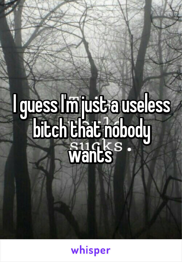 I guess I'm just a useless bitch that nobody wants 