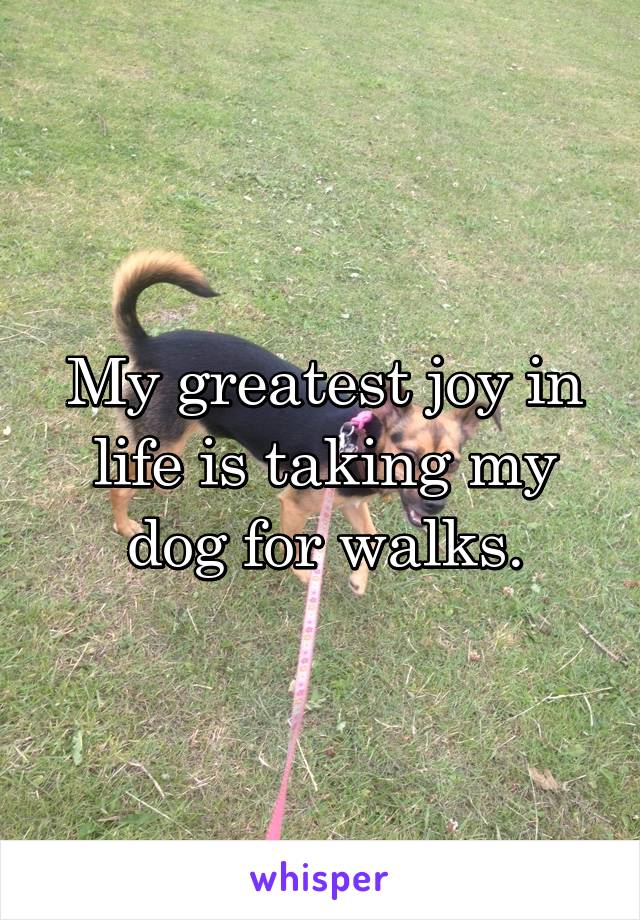 My greatest joy in life is taking my dog for walks.