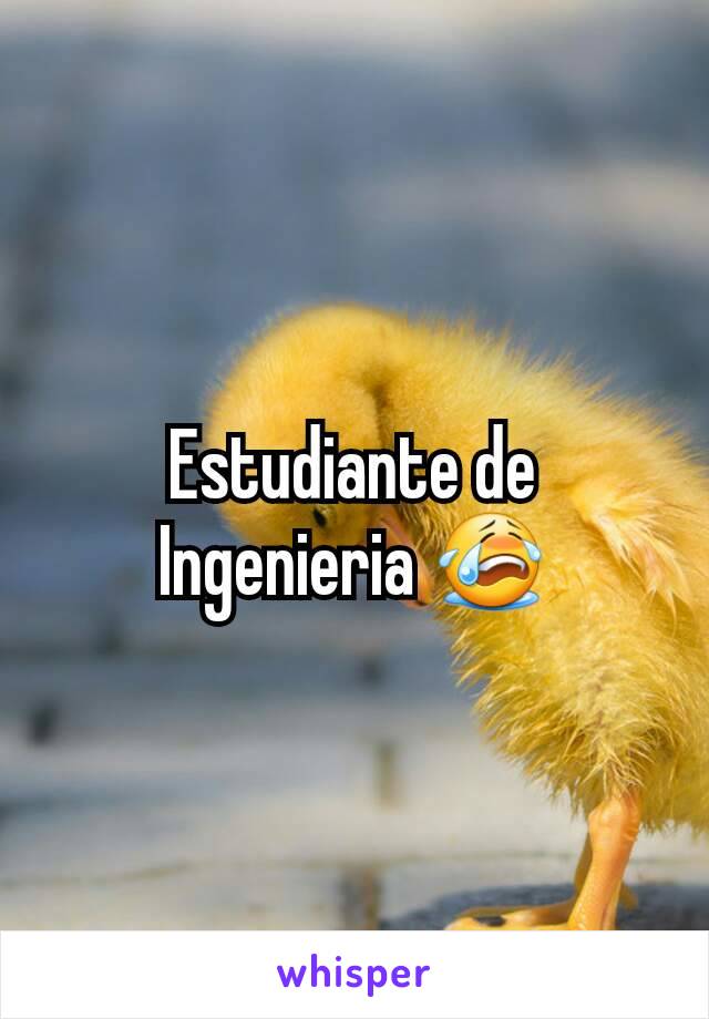 Estudiante de Ingenieria 😭