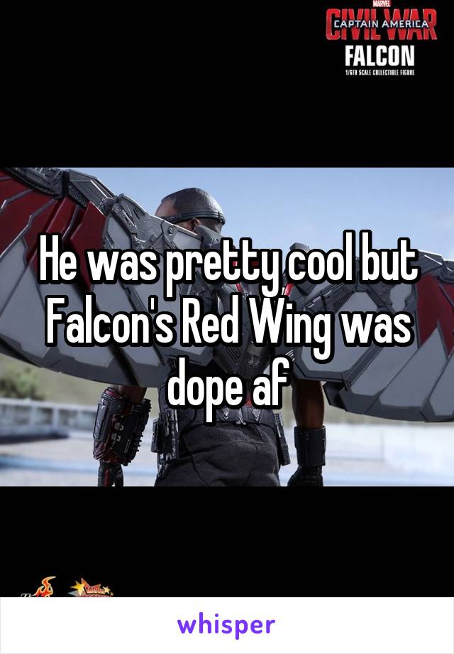 He was pretty cool but Falcon's Red Wing was dope af