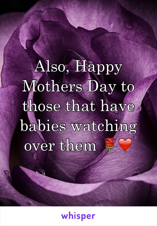 Also, Happy Mothers Day to those that have babies watching over them 🌹❤️