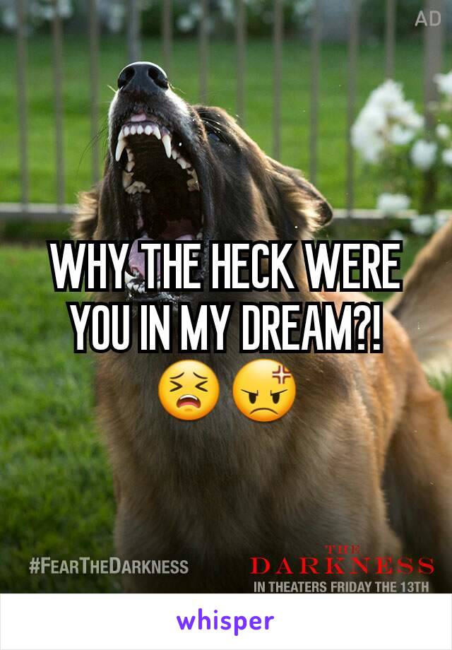 WHY THE HECK WERE YOU IN MY DREAM?! 😣😡