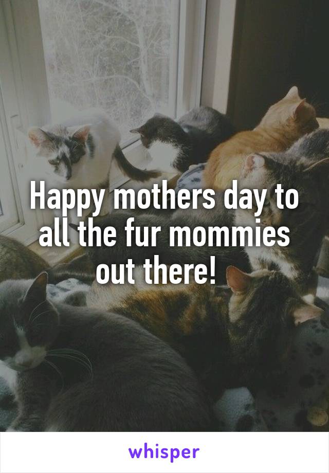 Happy mothers day to all the fur mommies out there!  