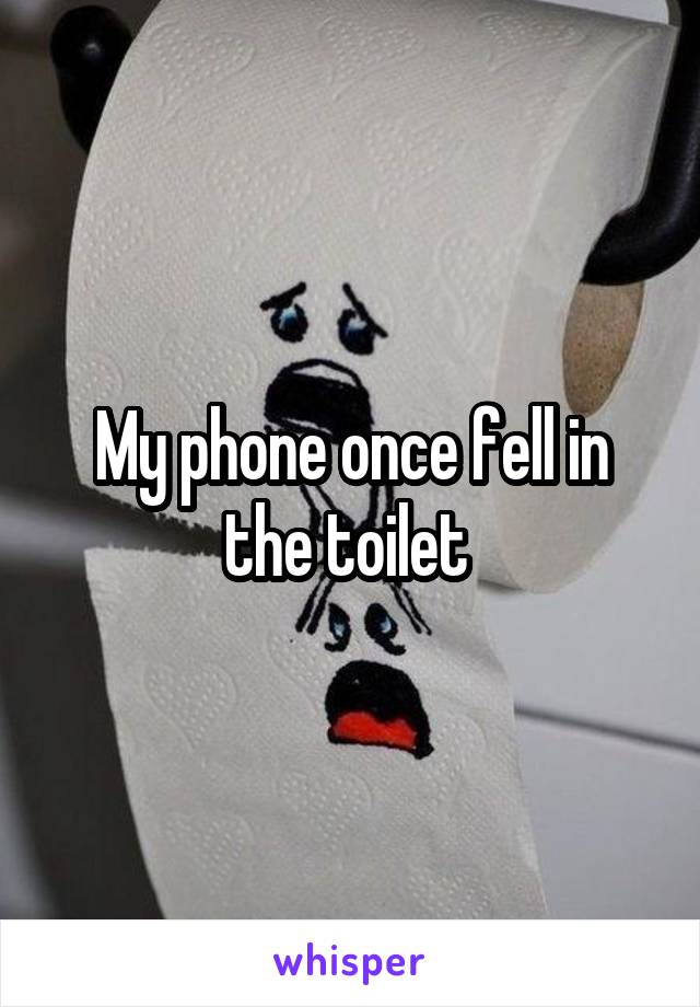 My phone once fell in the toilet 