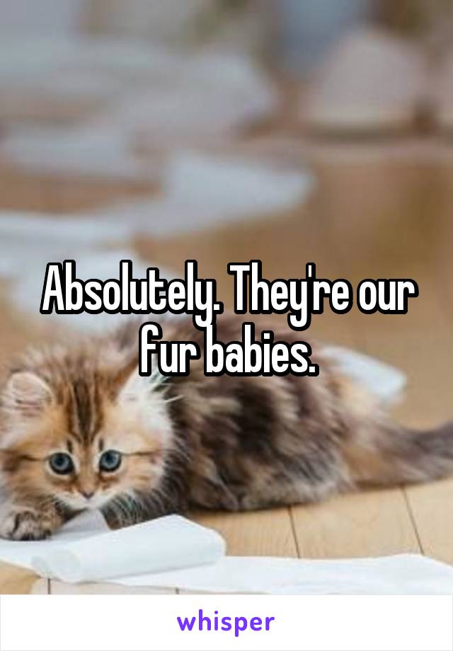 Absolutely. They're our fur babies.