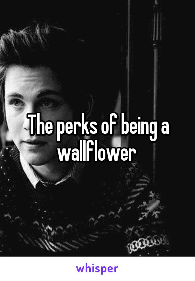 The perks of being a wallflower 