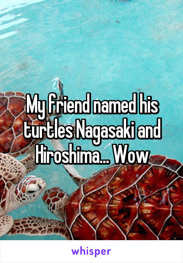 My friend named his turtles Nagasaki and Hiroshima... Wow