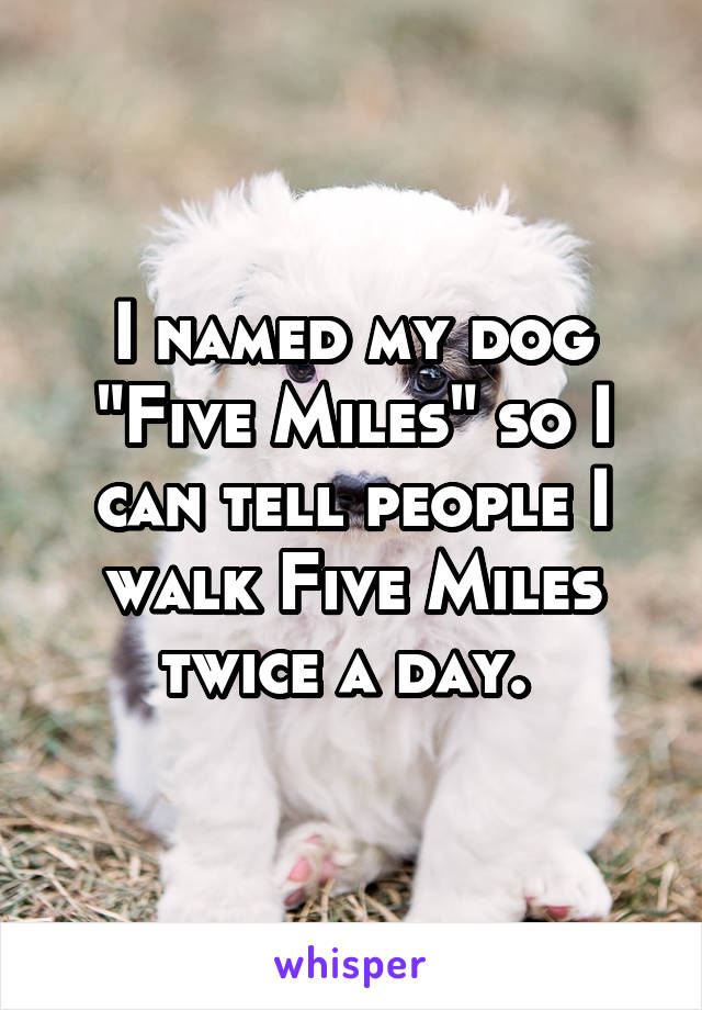 I named my dog "Five Miles" so I can tell people I walk Five Miles twice a day. 