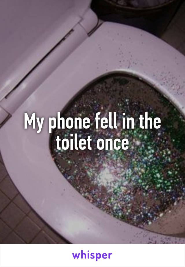 My phone fell in the toilet once