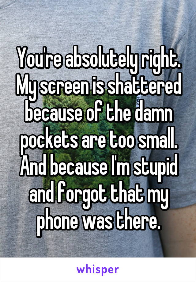 You're absolutely right. My screen is shattered because of the damn pockets are too small. And because I'm stupid and forgot that my phone was there.
