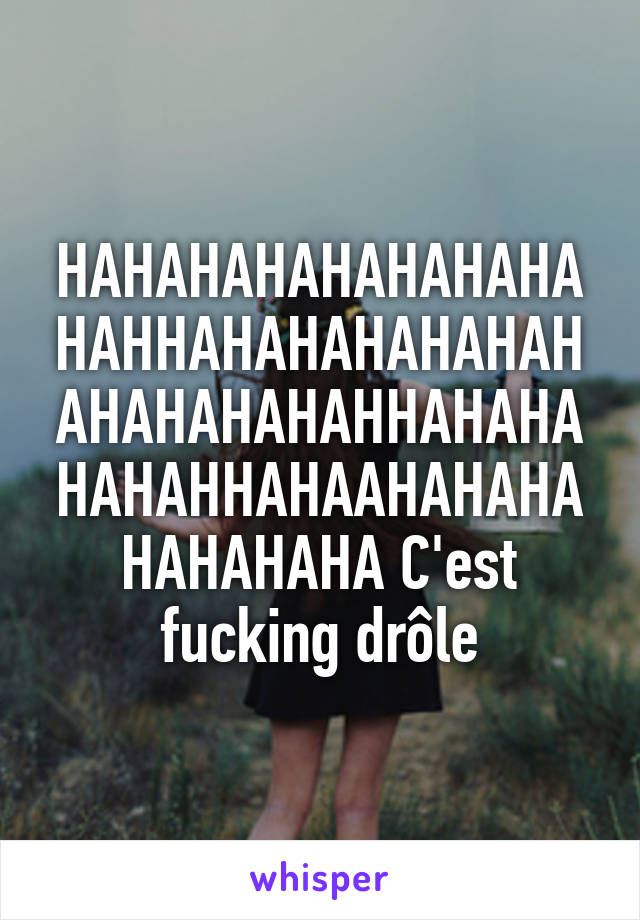 HAHAHAHAHAHAHAHAHAHHAHAHAHAHAHAHAHAHAHAHAHHAHAHAHAHAHHAHAAHAHAHAHAHAHAHA C'est fucking drôle