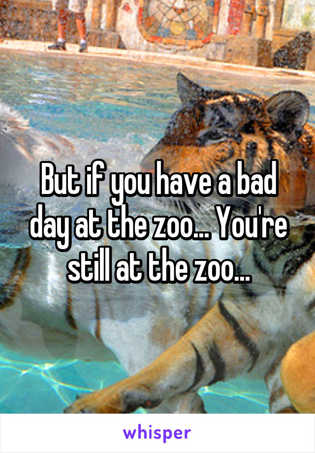 But if you have a bad day at the zoo... You're still at the zoo...