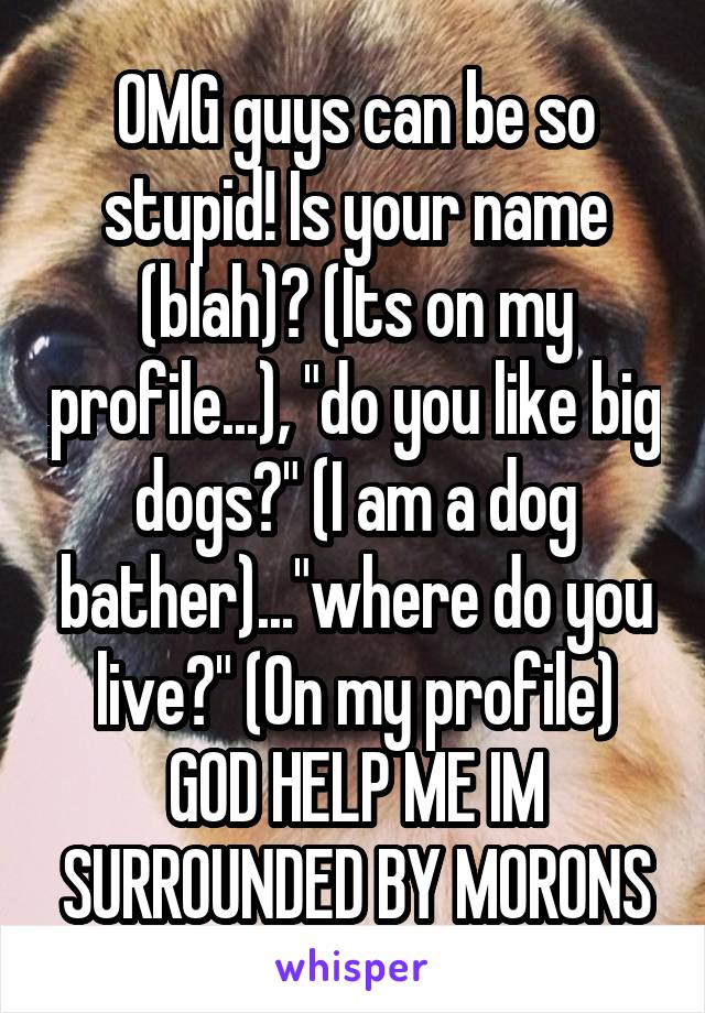 OMG guys can be so stupid! Is your name (blah)? (Its on my profile...), "do you like big dogs?" (I am a dog bather)..."where do you live?" (On my profile)
GOD HELP ME IM SURROUNDED BY MORONS