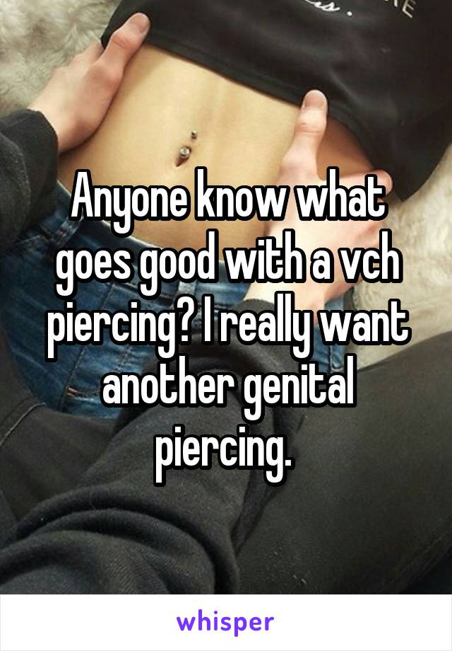 Anyone know what goes good with a vch piercing? I really want another genital piercing. 