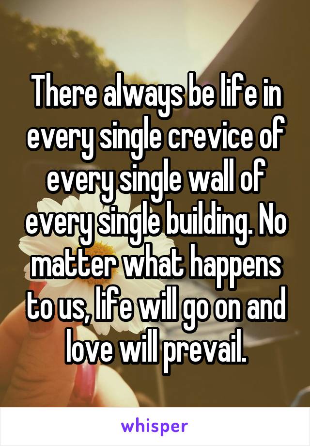 There always be life in every single crevice of every single wall of every single building. No matter what happens to us, life will go on and love will prevail.