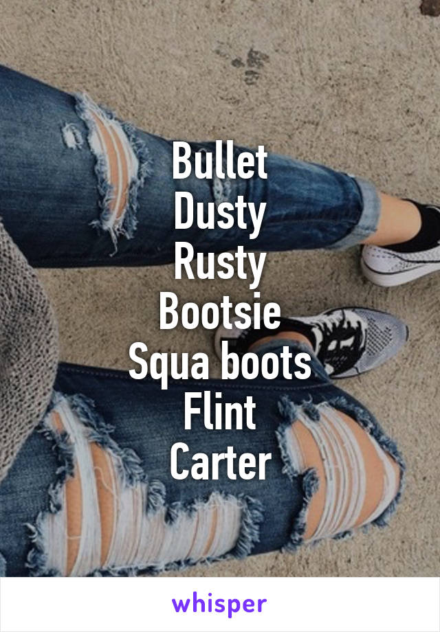 Bullet
Dusty
Rusty
Bootsie
Squa boots
Flint
Carter