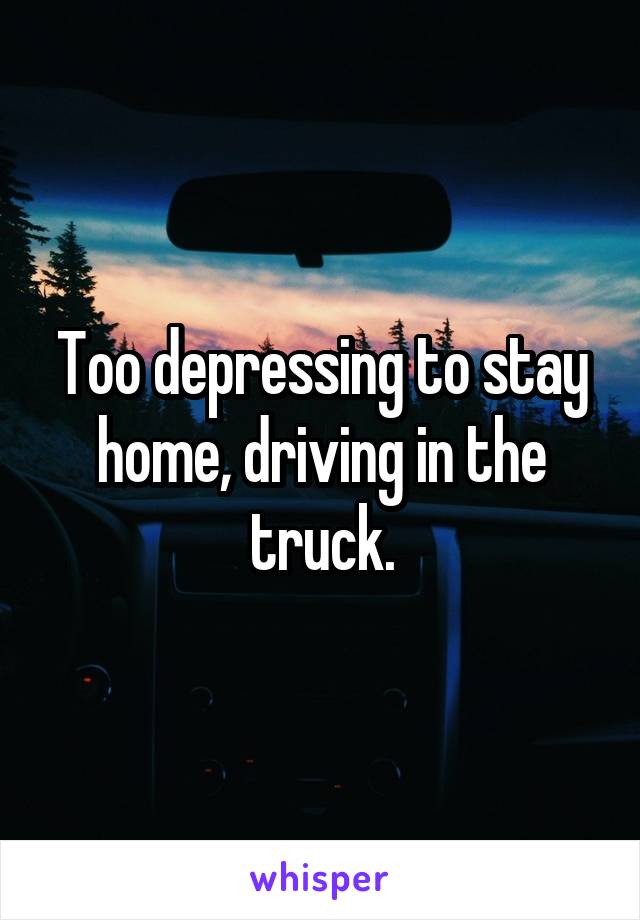 Too depressing to stay home, driving in the truck.